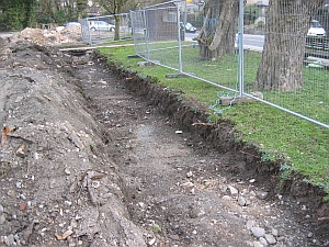 When inappropriate or poor protection is used on a development site tree root damage can occur. On this occasion all work was stopped on the development the developer was fined for breaching TPO regulations and Arbconsultants was asked to produce remedial management options to prolong the safe useful life of the trees.